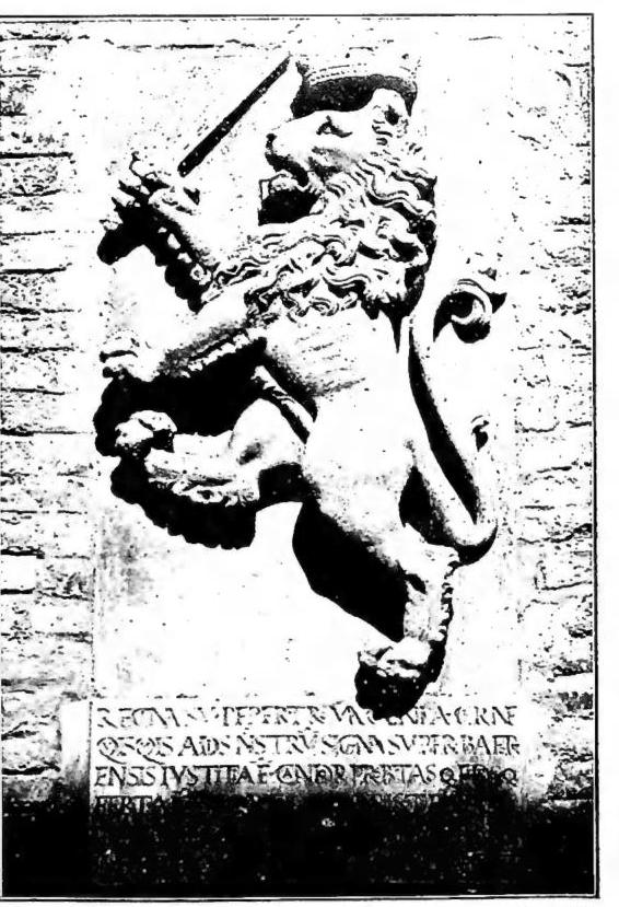 Article illustration