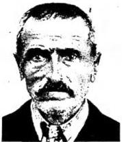 Plate XXVIII