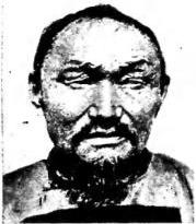 Plate XXVIII
