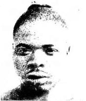 1. SUDANID TYPE (Banda); 2. PYGMIE TYPE (Pygmy from Ituri); 3. STEATOPYGIE TYPE (Hottentot); 4. AUSTRALID TYPE (Australian); 5. MELANESID TYPE (from New Caledonia); 6. VEDDID TYPE (from Nilgala); 7. ESKIMID TYPE (Eskimo); 8. SONORID TYPE (from Tiburon); 9. FUEGID TYPE (Fuegian).