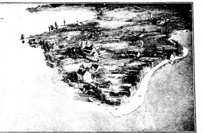 Article illustration
