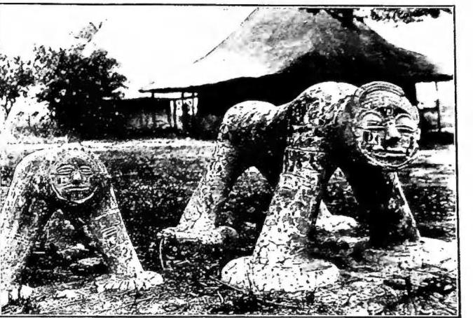 Article illustration