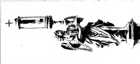 Plate XXXVIII