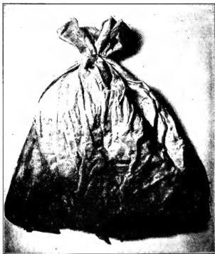 Article illustration