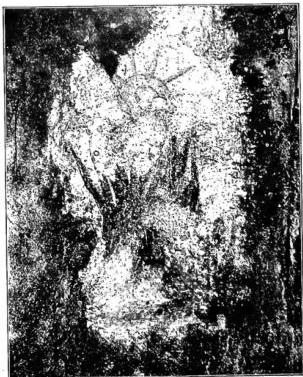 Article illustration