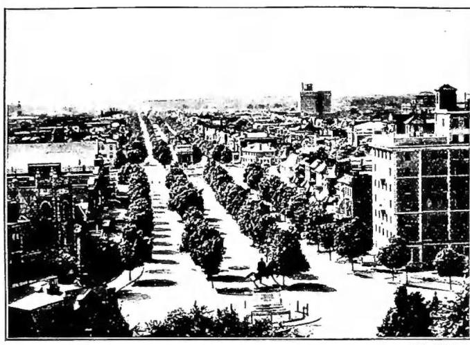 Article illustration