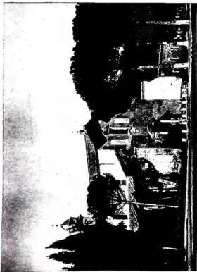 Plate LXII