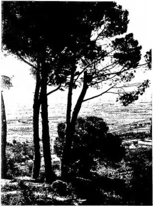 Above left: VIEW OF THE COUNTRYSIDE from Covignano. Above right: PANORAMA of Castrocaro. Below: MONTE CASTELLO AND THE SAVIO.