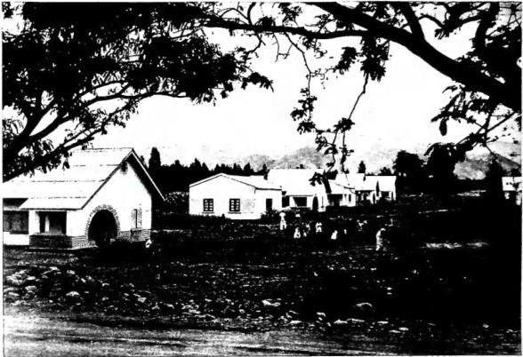 Above: HOUSES OF THE INDIGENOUS STAFF OF THE BANQUE DU CONGO - Usumbra.