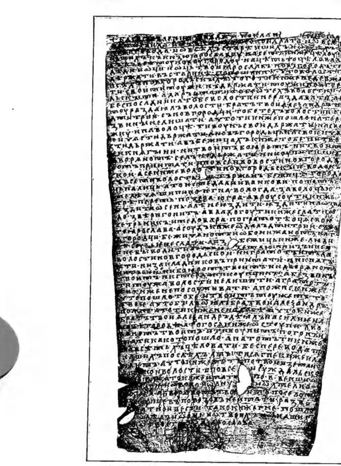 Article illustration