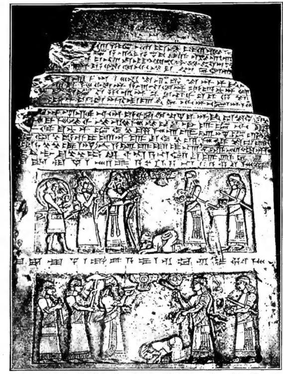 Article illustration