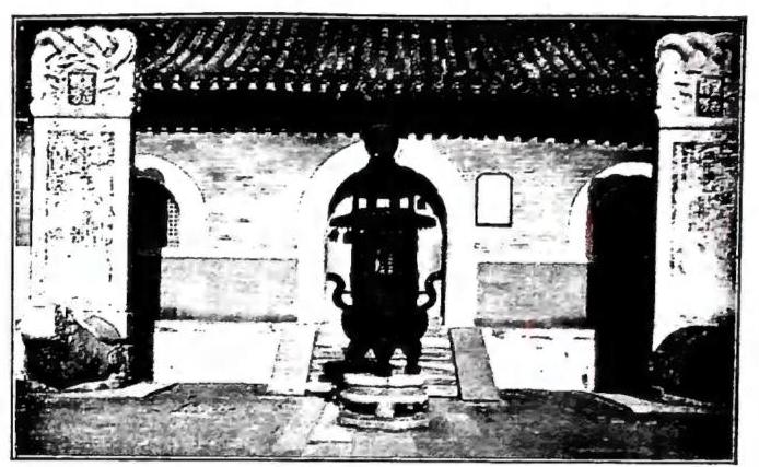 Article illustration