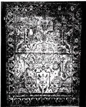 Plate CXXIII