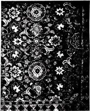 Plate CXXIII