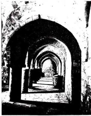 Plate CXXIV