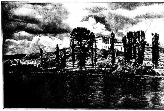 Article illustration