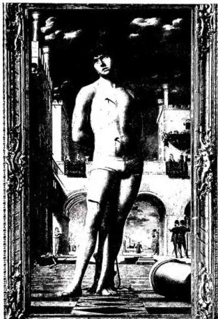 Tav. XII