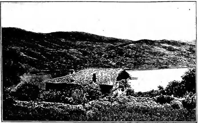 Article illustration