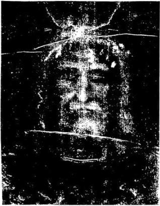 Above left: THE HOLY FACE, as it appears from the photographic negative. Below left: THE BACK (shoulders and lumbar part), as it appears from the photographic positive with the traces of the scourges. Right: THE SHROUD, as it appears from the photographic positive - Turin, Cathedral, chapel of the Holy Shroud.