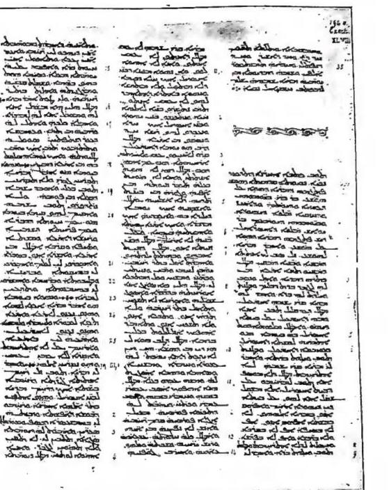 Article illustration