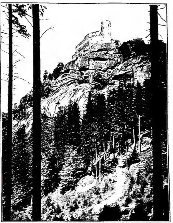 Article illustration