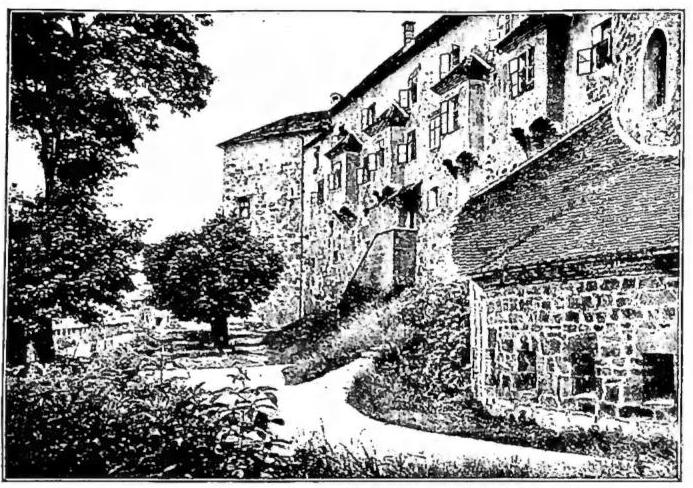 Article illustration