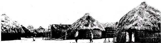Above: INDIGENOUS VILLAGE along the Juba River - Diguma.