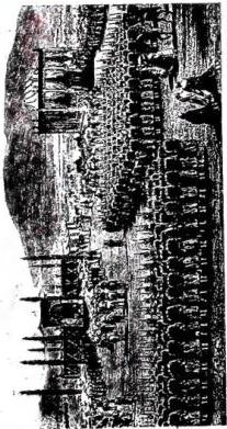 Tav. LXXXVIII