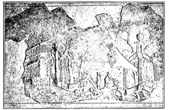 Article illustration