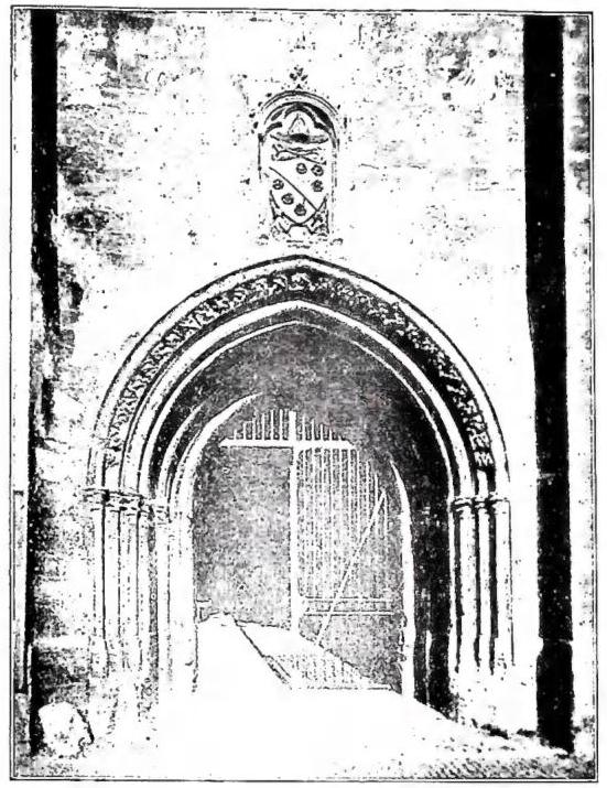 Article illustration