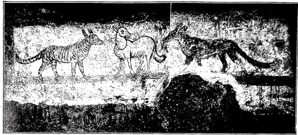 Article illustration