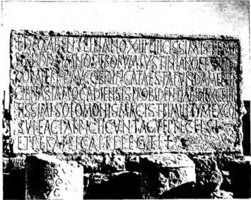 Plate XI