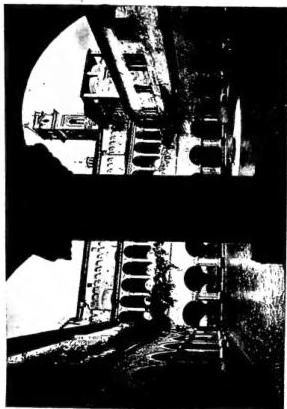 Above left: FACADE OF THE BASILICA (17th cent.), with portal by Nanni di Bartolo (1432-35) and, above, the sun with rays, symbol of the Saint, work by Giovanni Andrea Ascani (1757) - Tolentino, Piazza and church of S. Nicola. Above right: CLOISTER OF THE CONVENT (13th cent.) - Tolentino, church of S. Nicola. Below left: INTERIOR OF THE BASILICA with gilded coffered ceiling, rich in statues and friezes (17th cent.) - Tolentino. Below right: ALTAR OF THE CRYPT, placed in front of the silver reliquary urn of S. Nicola (1930).