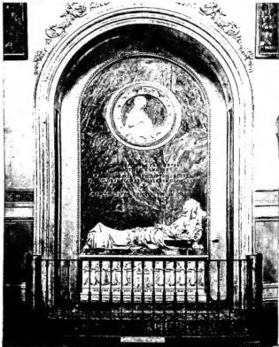 Plate XXVIII