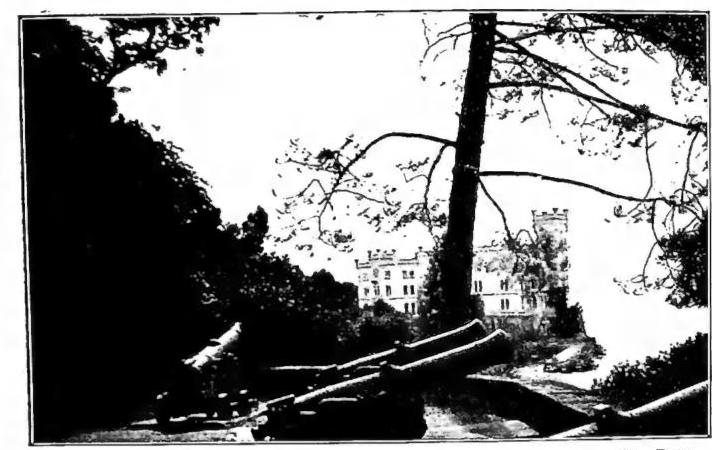 Article illustration