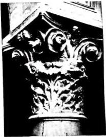 Tav. LVII