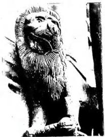 Tav. LVII