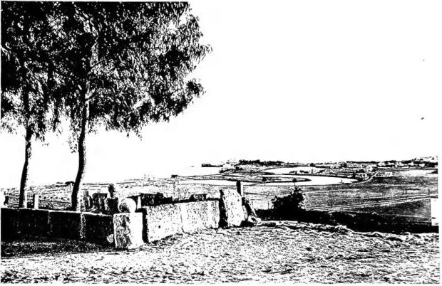 Above: THE ANCIENT PORT OF CARTHAGE. Below: THE OASIS OF GABES.