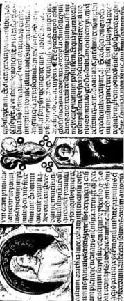 Plate LXXXII