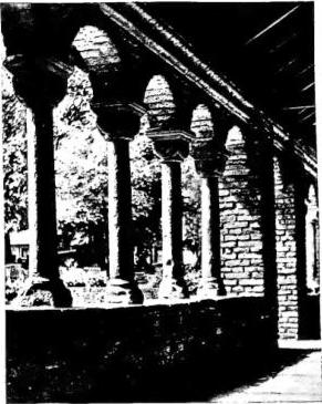Tav. LXXXVII
