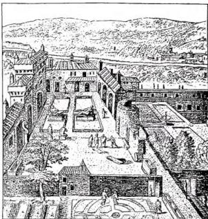 Article illustration