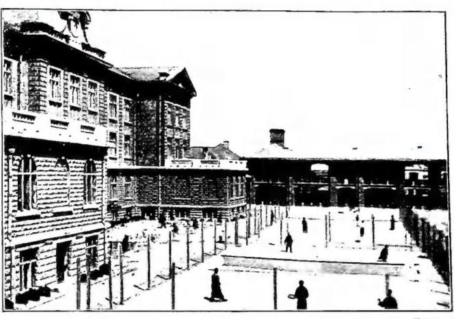 Article illustration