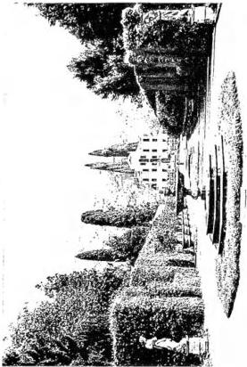 Plate CXXII