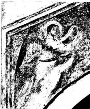 Plate CXXVIII