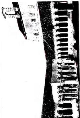 Tav. CXXXIII