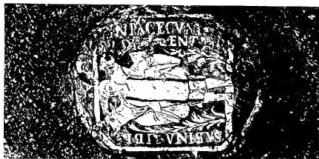 Tav. CXXXVII
