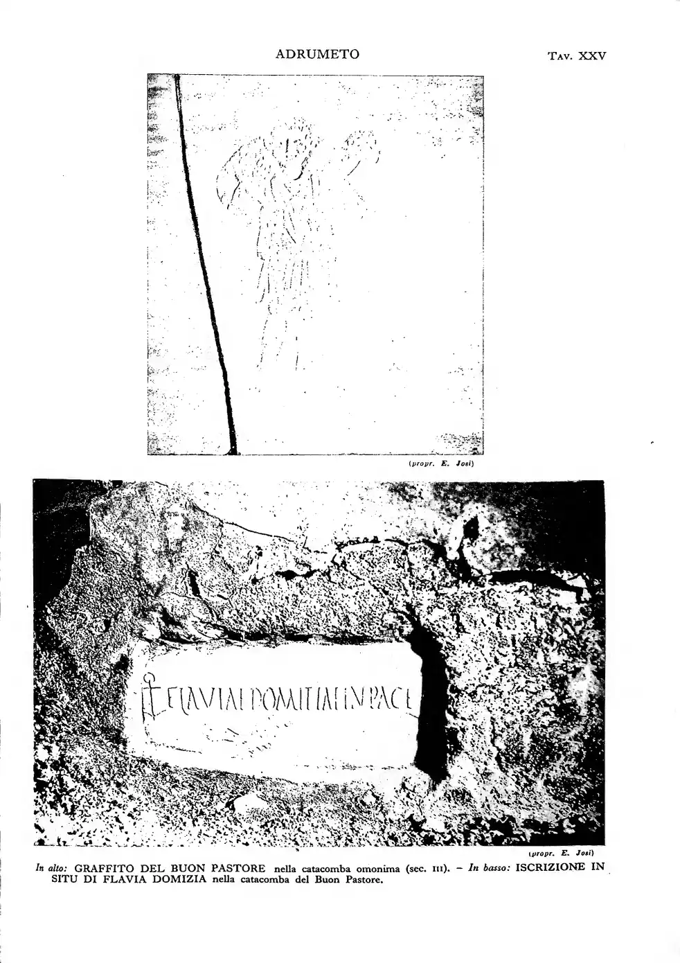 Page 229