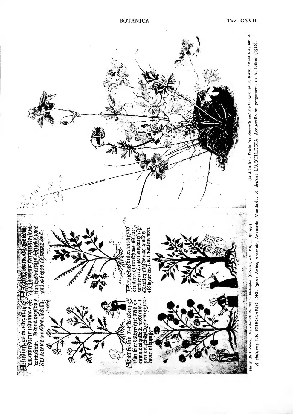 Pagina 1123
