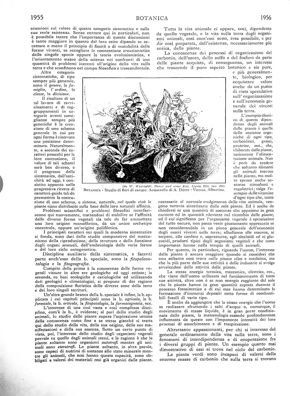 Pagina 1126