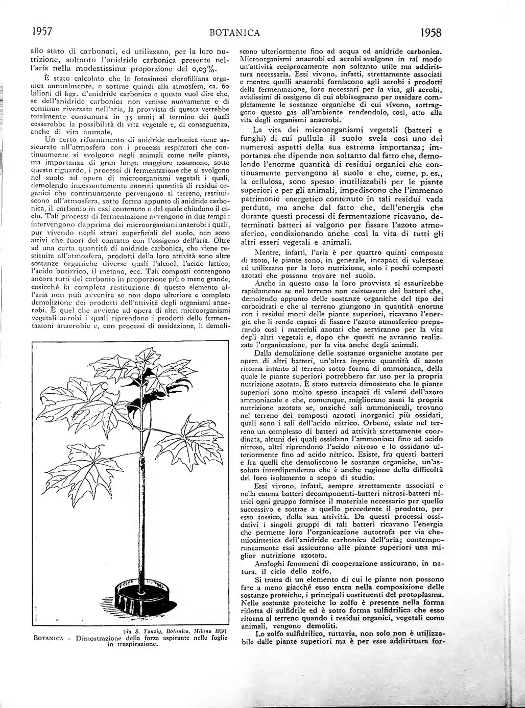 Pagina 1127
